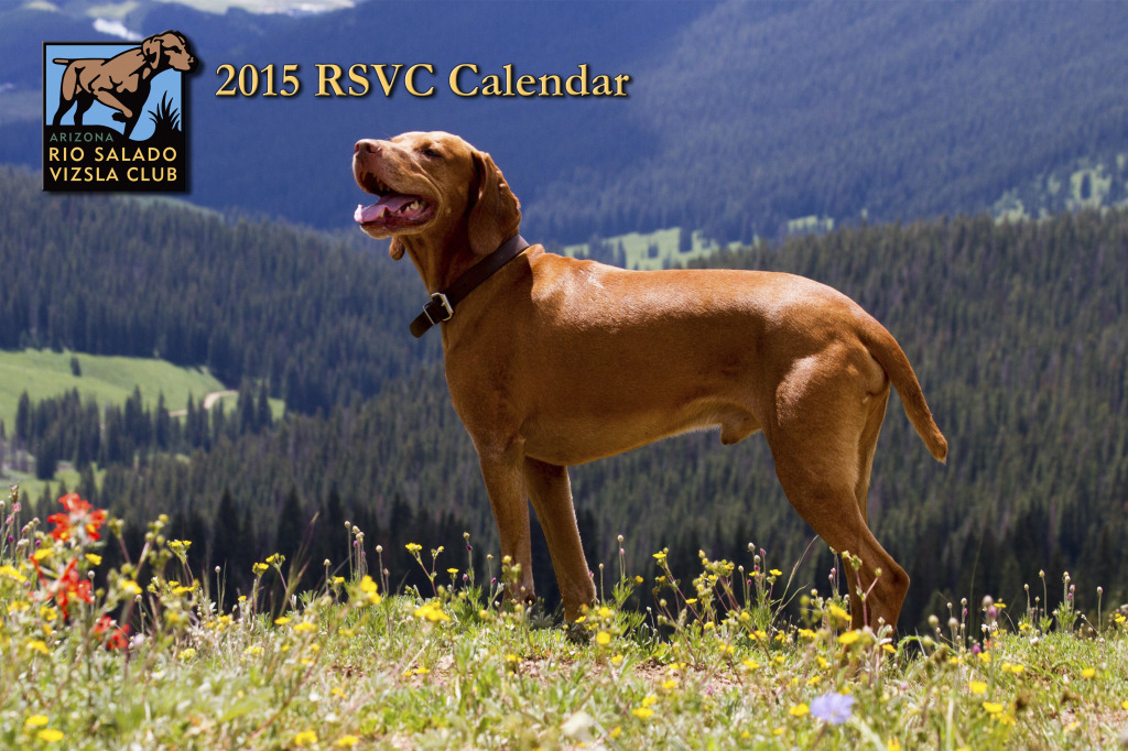 RSVC 2015 Cover